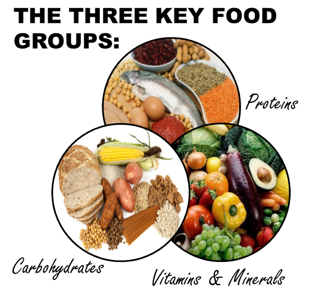 five key food groups